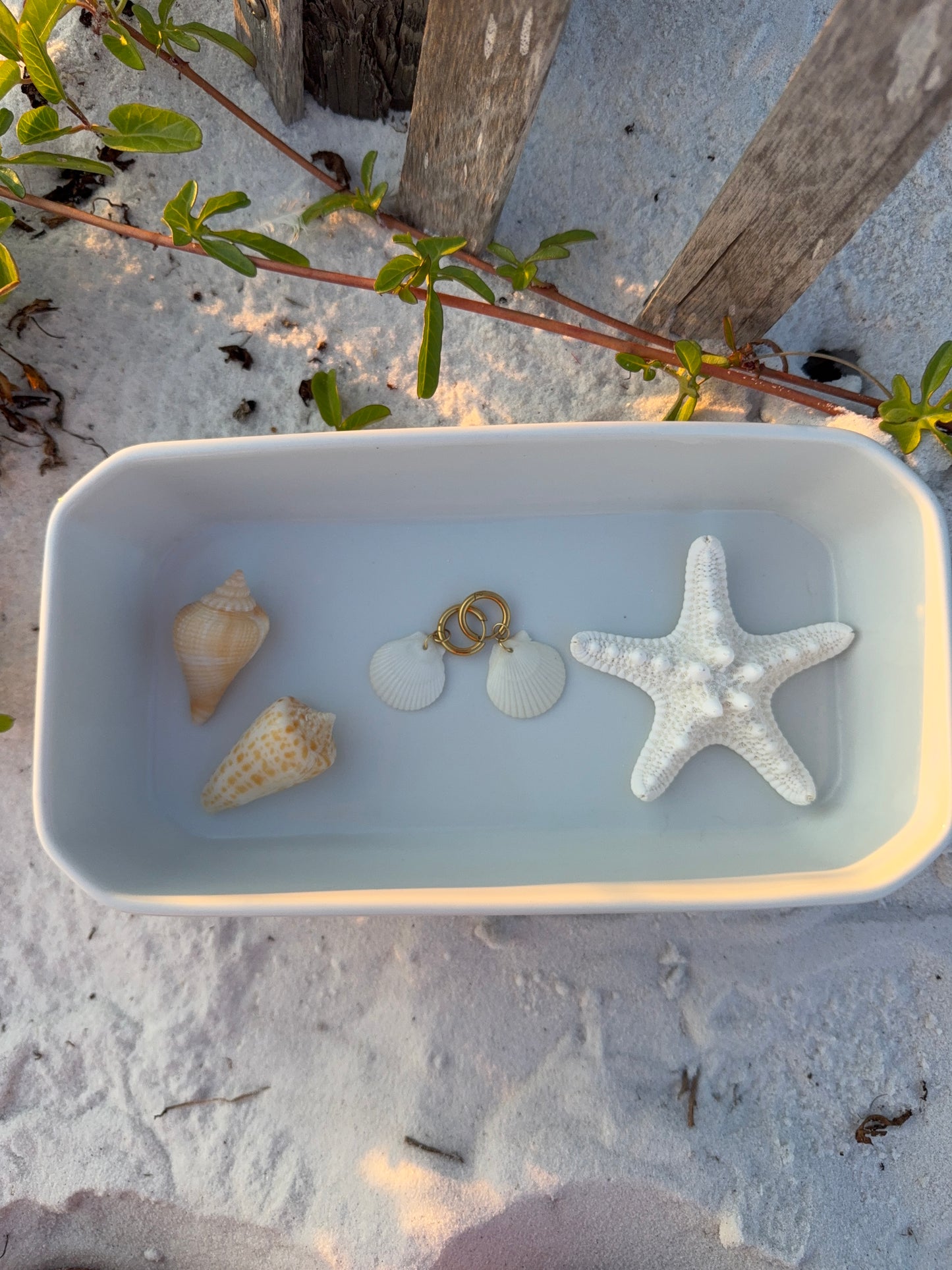 Seashell Earrings