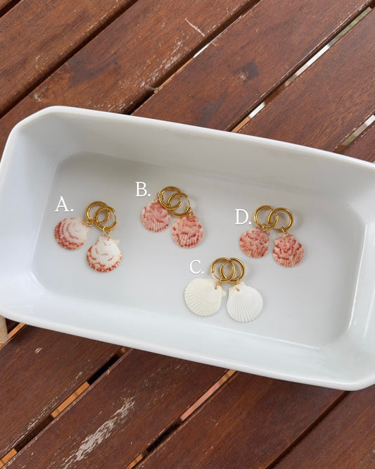 Seashell Earrings