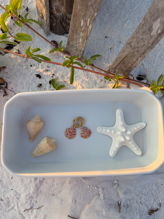Seashell Earrings
